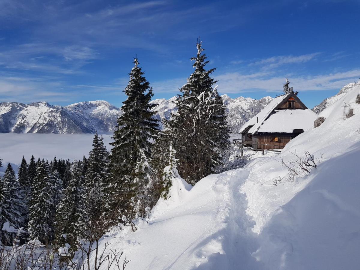 Chalet Gorenjka - Velika Planina Стаховиця Екстер'єр фото