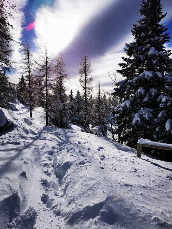 Chalet Gorenjka - Velika Planina Стаховиця Екстер'єр фото