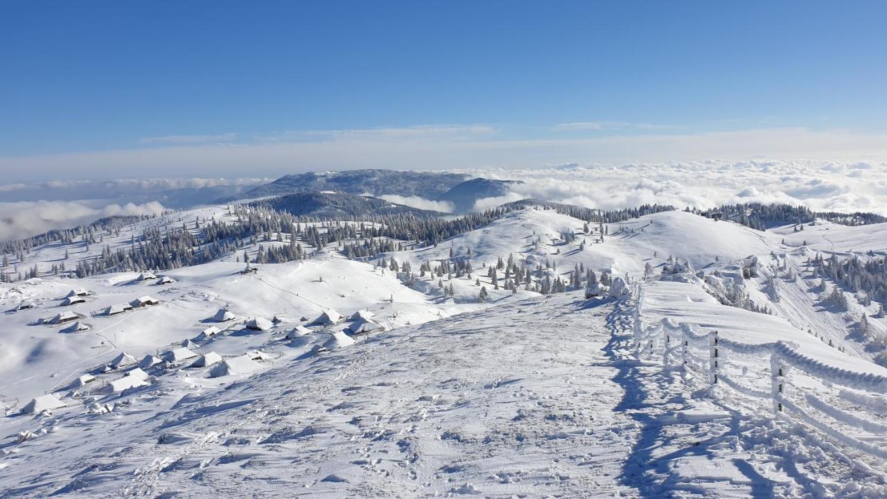 Chalet Gorenjka - Velika Planina Стаховиця Екстер'єр фото