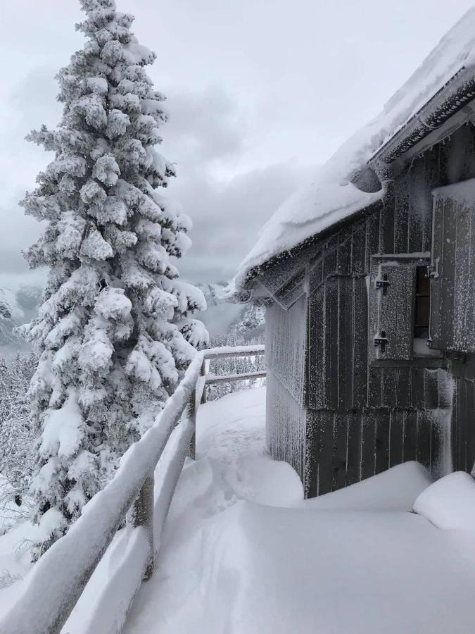 Chalet Gorenjka - Velika Planina Стаховиця Екстер'єр фото