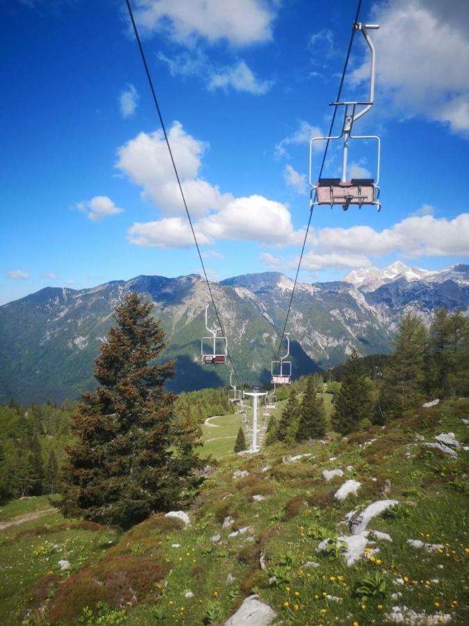 Chalet Gorenjka - Velika Planina Стаховиця Екстер'єр фото