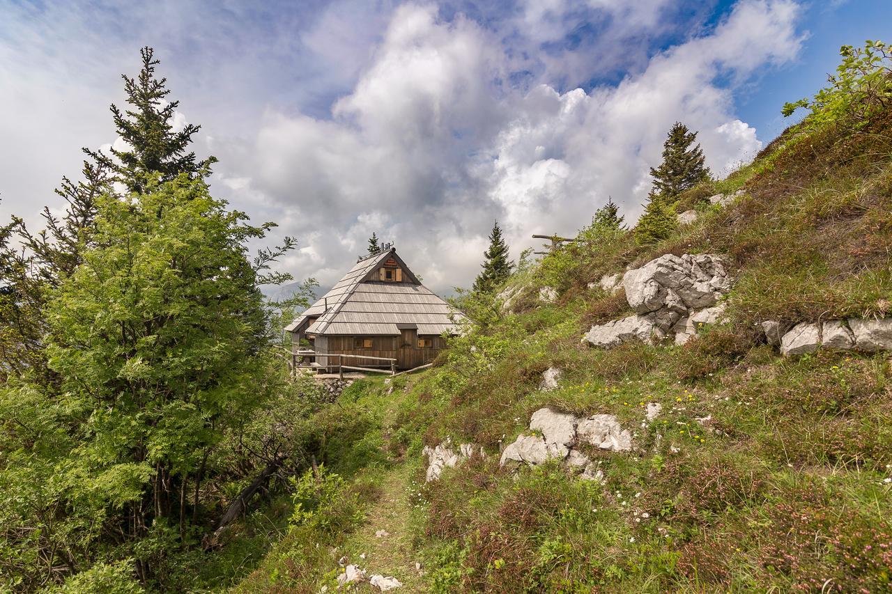 Chalet Gorenjka - Velika Planina Стаховиця Екстер'єр фото