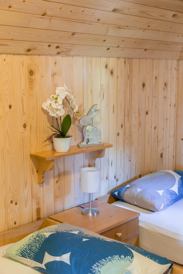 Chalet Gorenjka - Velika Planina Стаховиця Екстер'єр фото